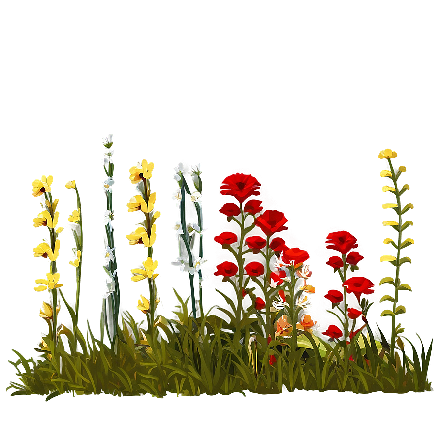 Download Wild Red Flowers Meadow Png Mhh | Wallpapers.com