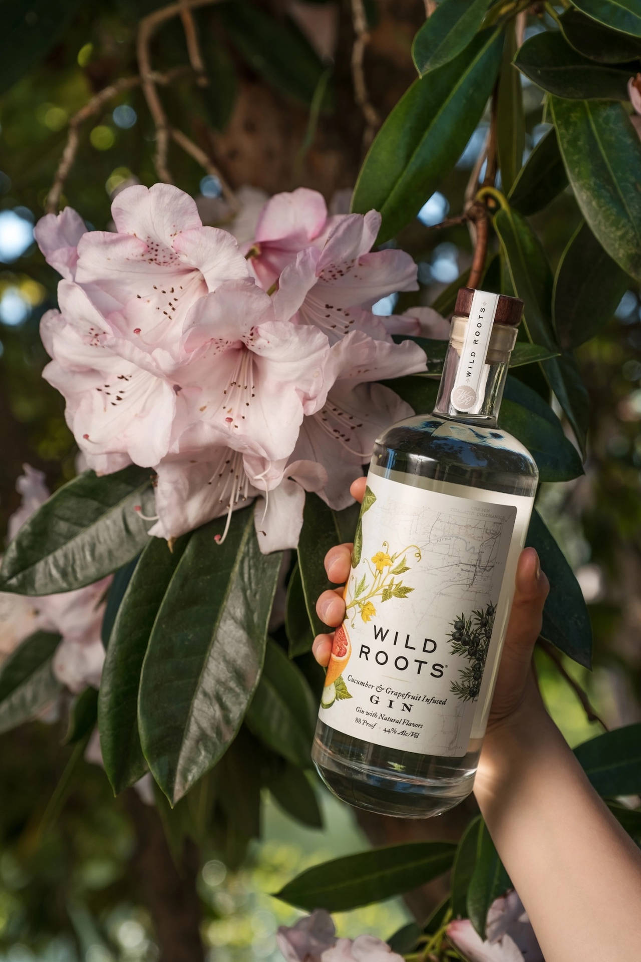 Wild Roots Cucumber And Grapefruit Gin Wallpaper