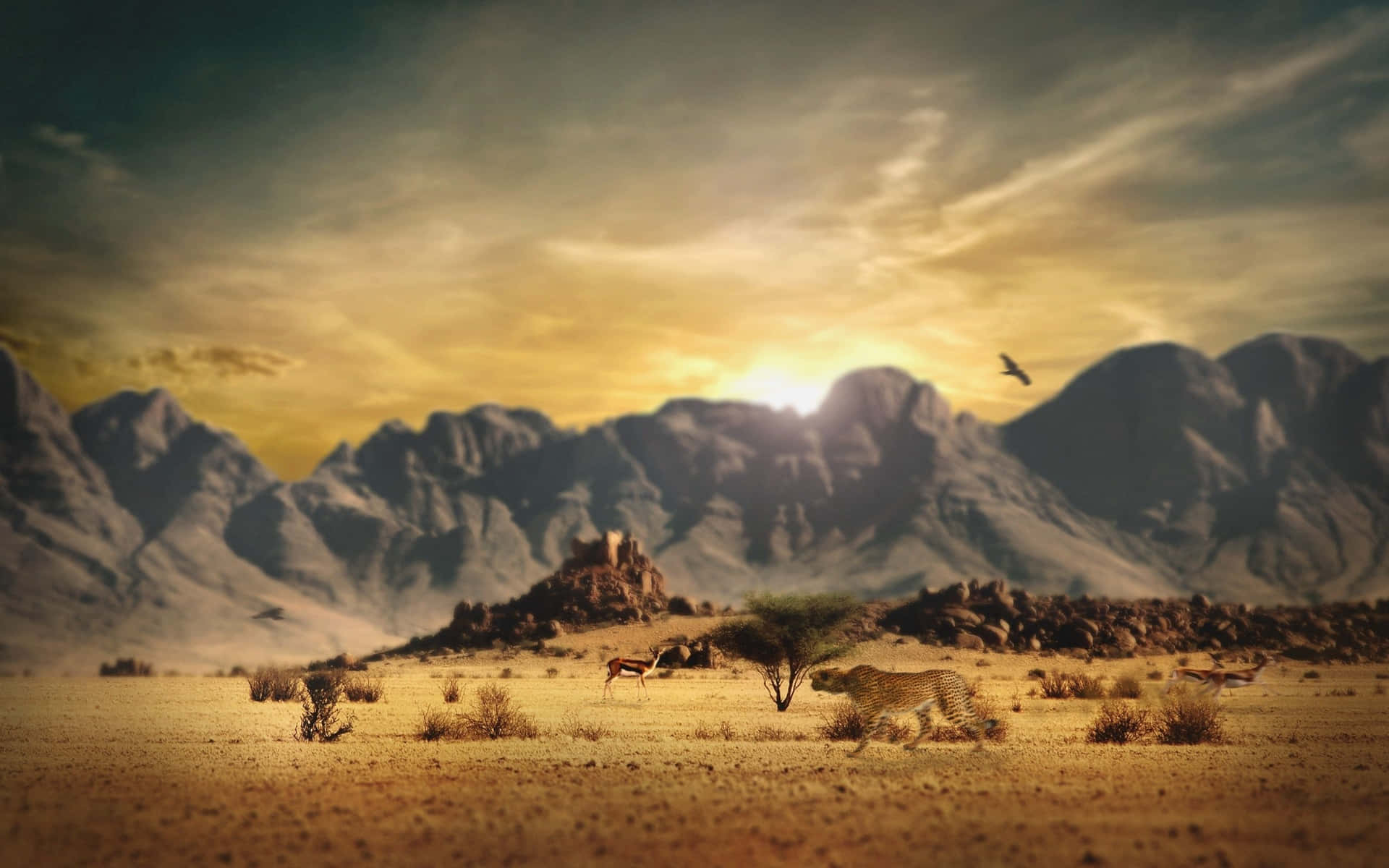 Explore the Wild West with this stunning background.