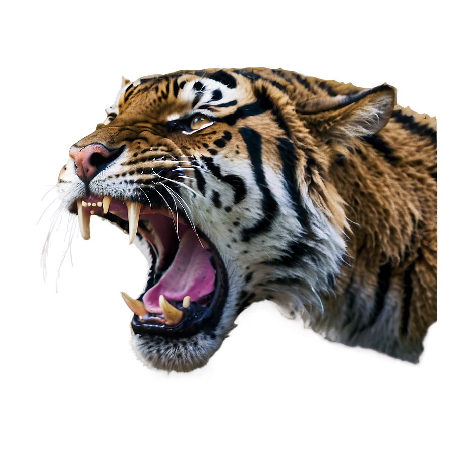 Wildcat Rage Tiger Png Dgb99 PNG