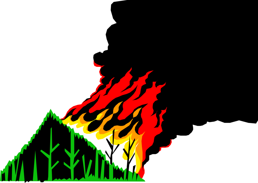 Wildfire Vector Illustration PNG