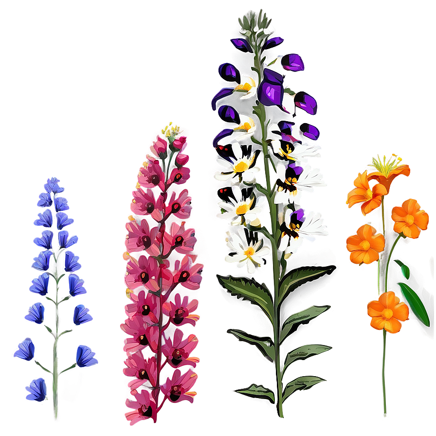 Wildflower Ecstasy Array Png 25 PNG