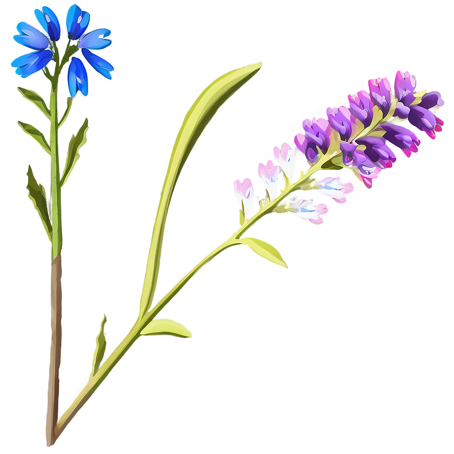 Wildflower Stem Png Uts21 PNG