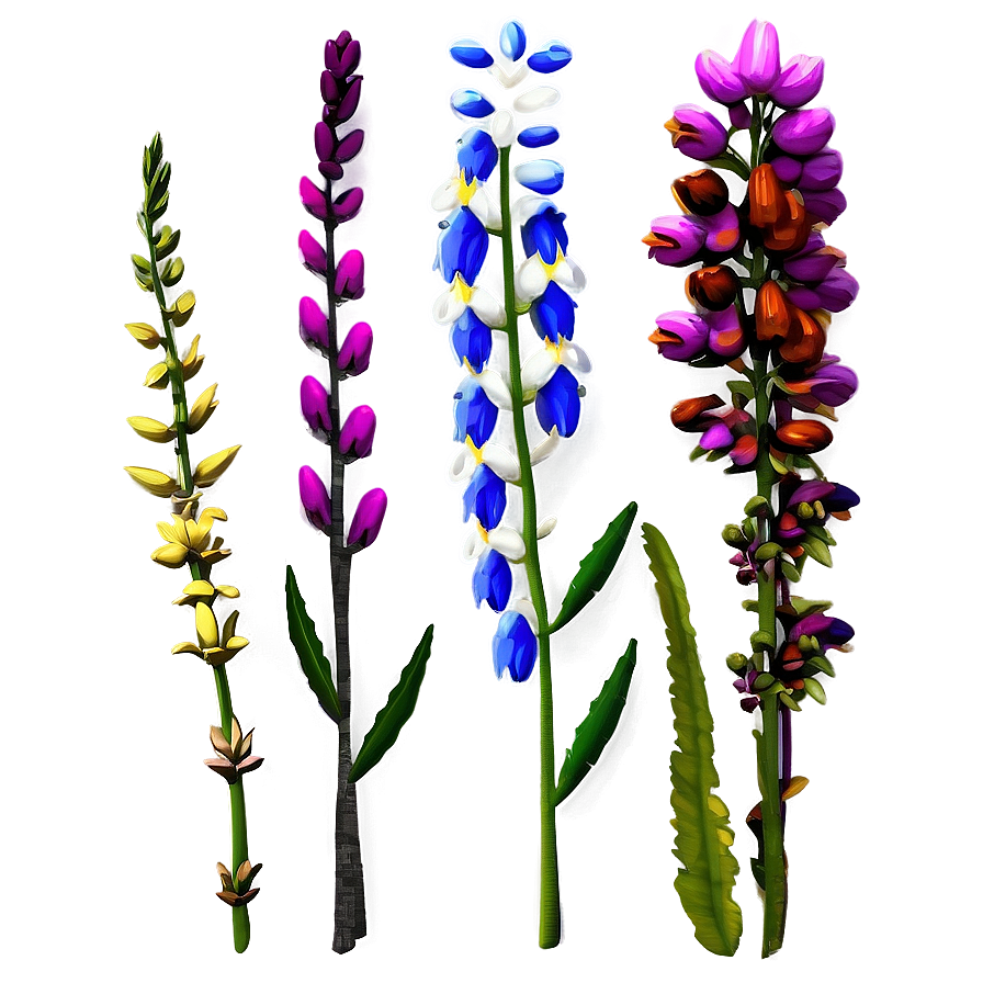 Wildflowers In Detail Png 06202024 PNG