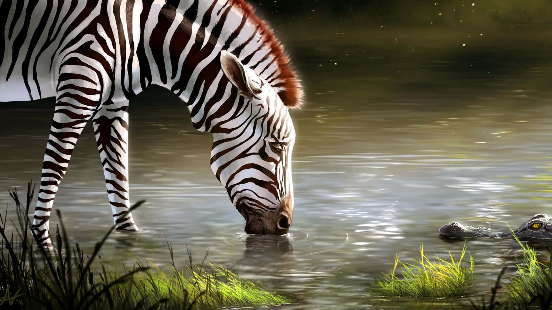 a zebra drinking water from a pond