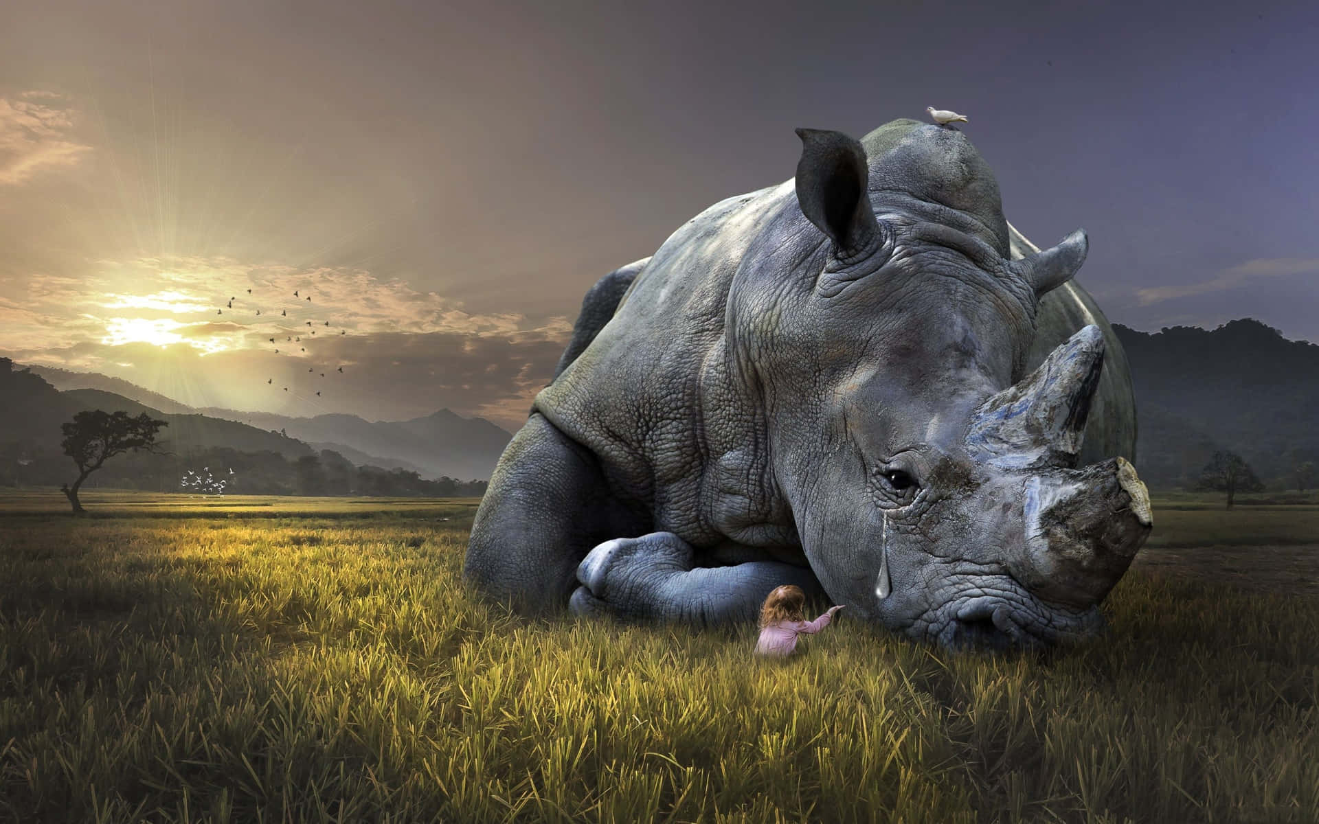 a rhino is laying down in a field