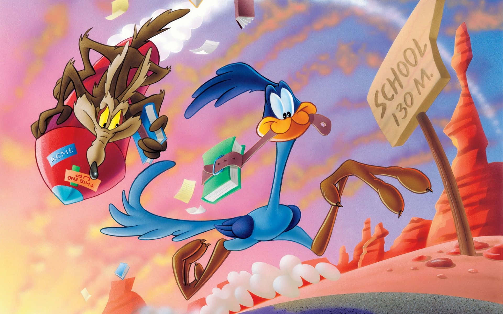 Wile E. Coyote And Road Runner Wallpaper