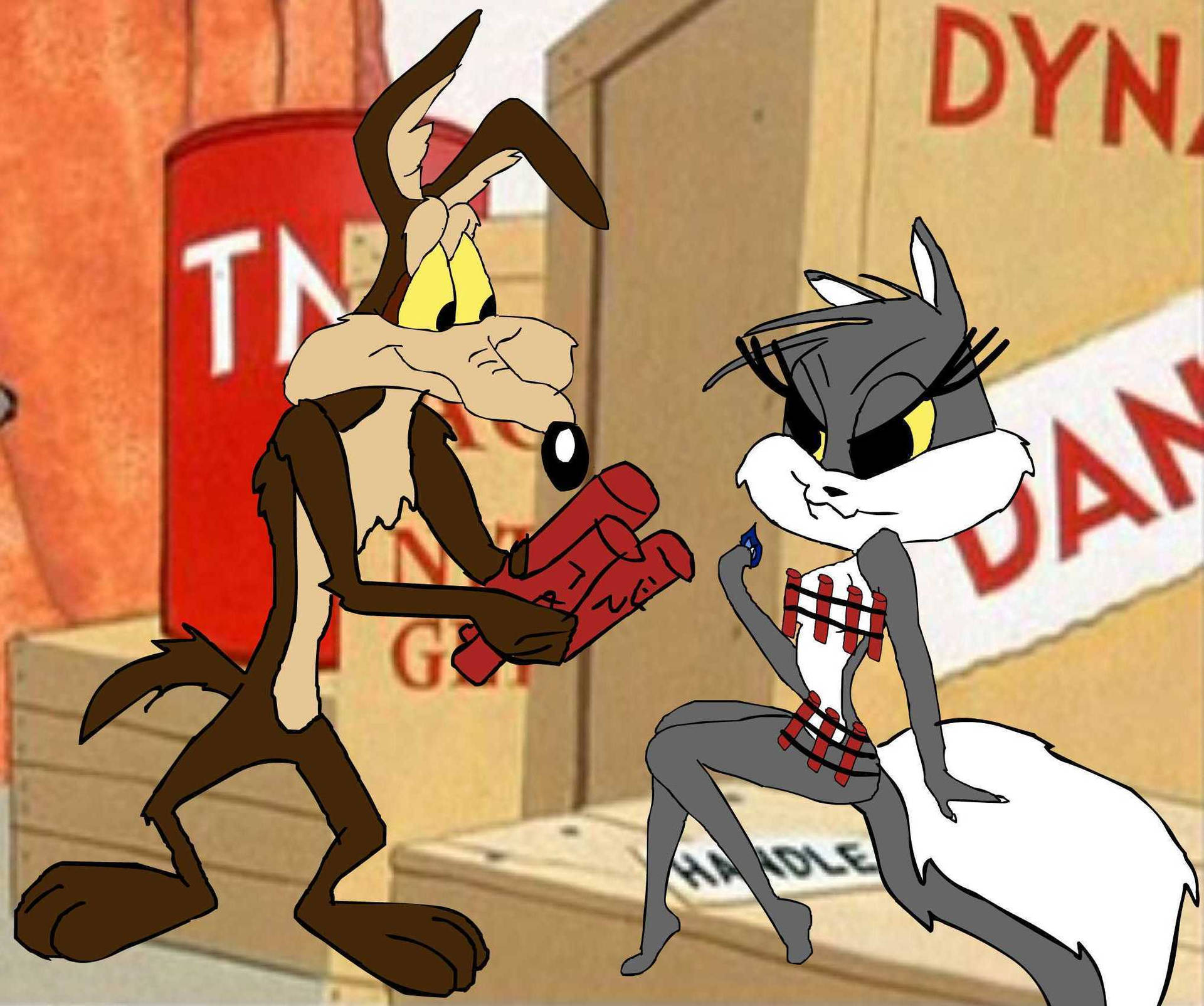 Wile E Coyote Courting A Lady Wallpaper