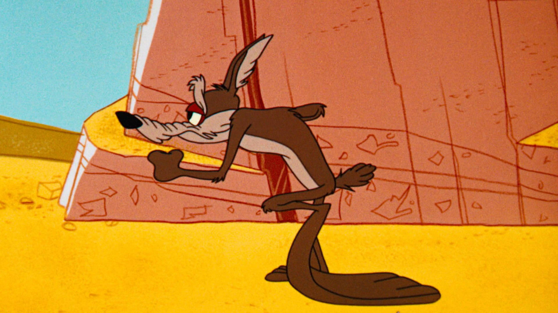 Wile E. Coyote Exhausted After Numerous Failed Attempts. Wallpaper