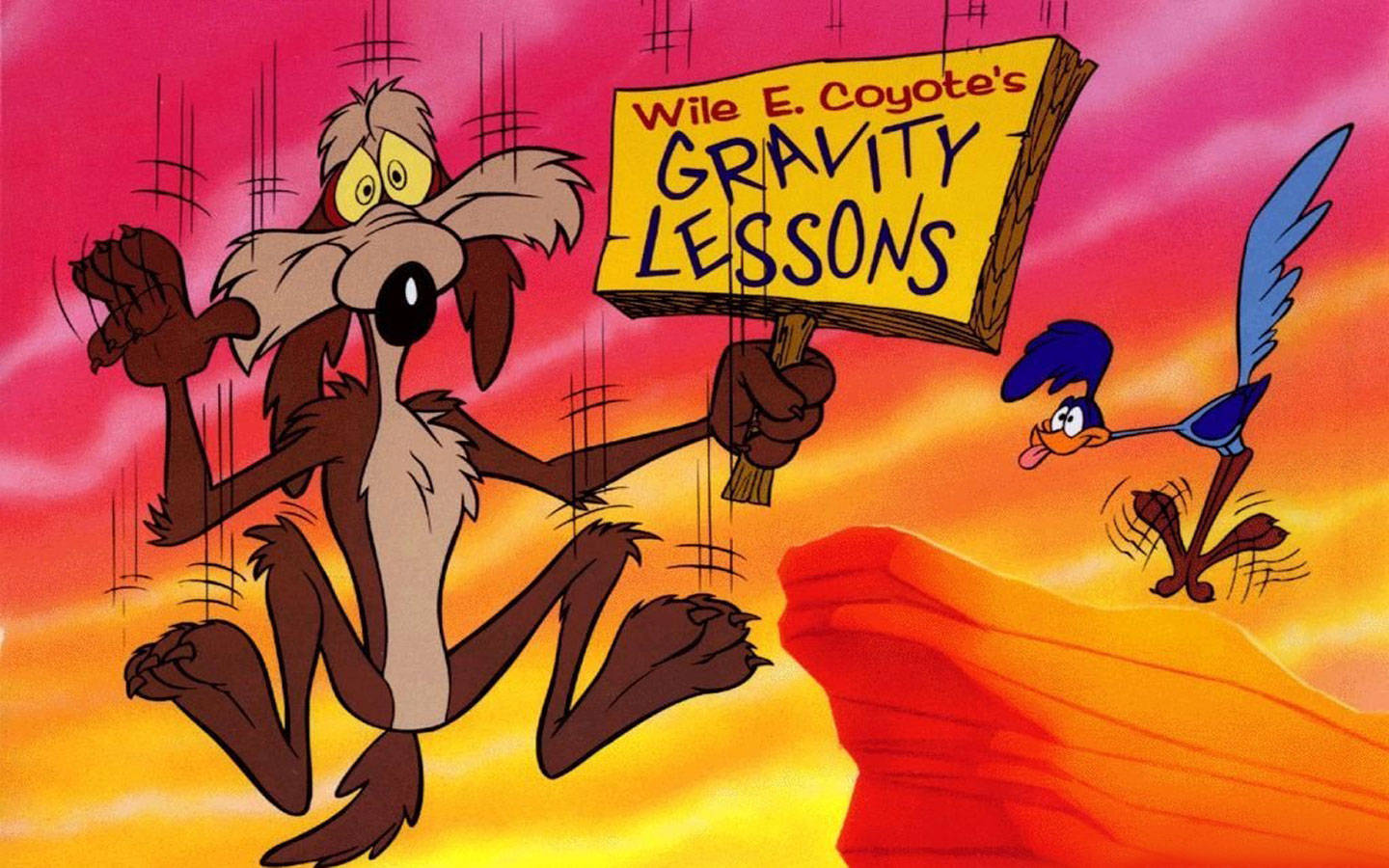 Wilee Coyote Gravity Lessons Banner: Wile E Coyote Gravitationslektioner Banner. Wallpaper