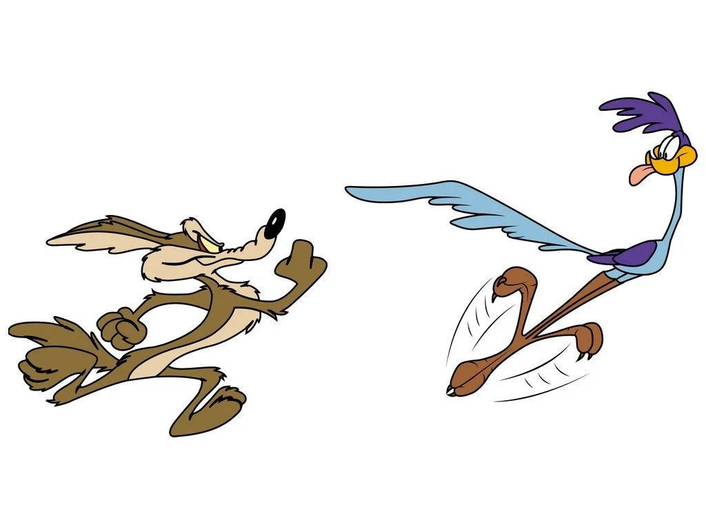 Download Wile E Coyote Of Looney Tunes Cartoon Wallpaper 