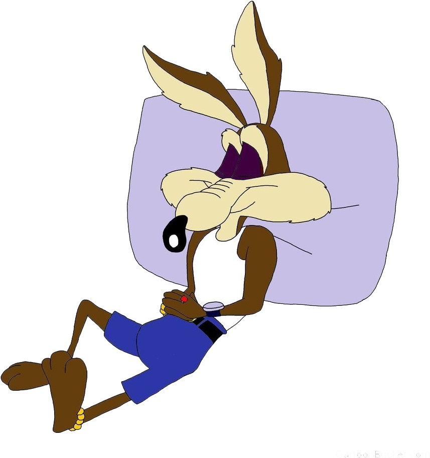 Wile E Coyote Relaxingon Pillow PNG