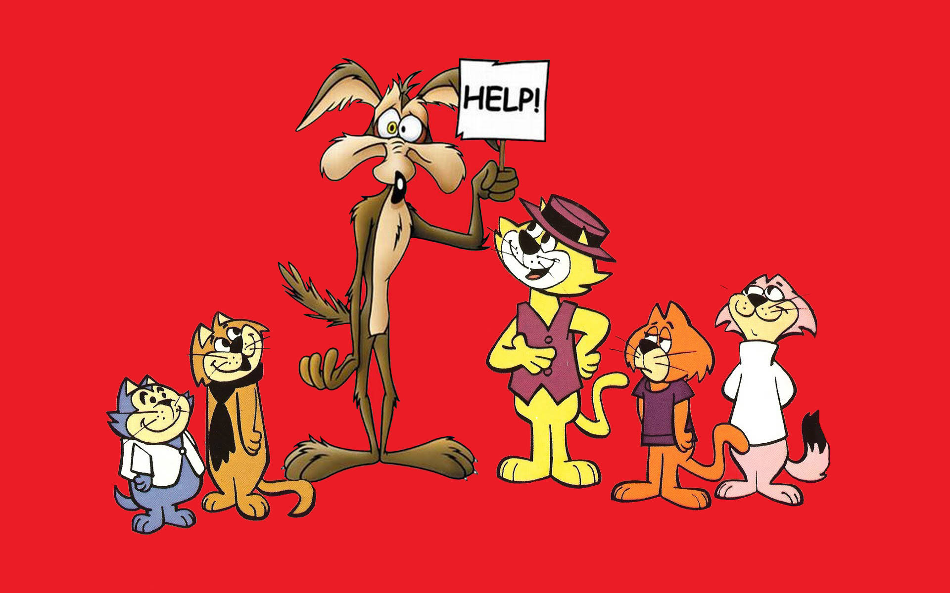 Wile E Coyote With Help Signage Wallpaper
