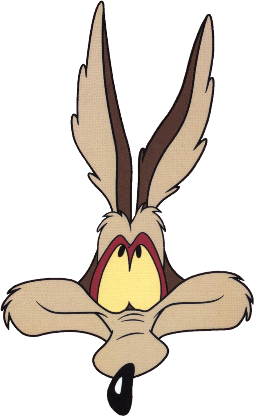 Wile_ E_ Coyote_ Frustrated_ Look PNG