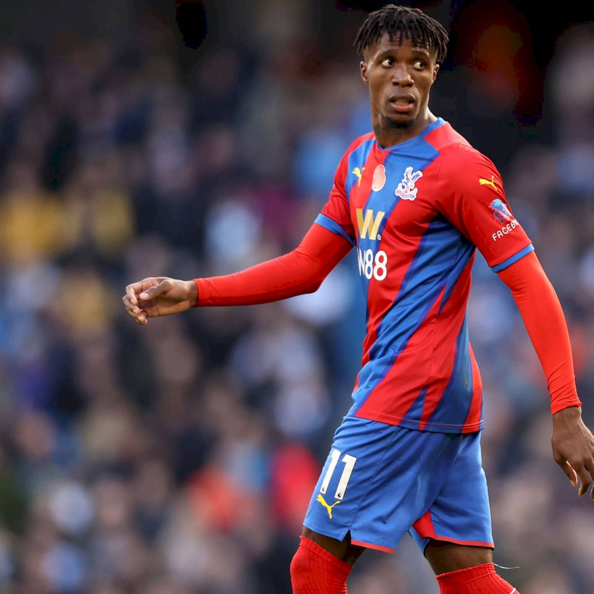 Wilfried Zaha Wearing Blue And Red Wallpaper