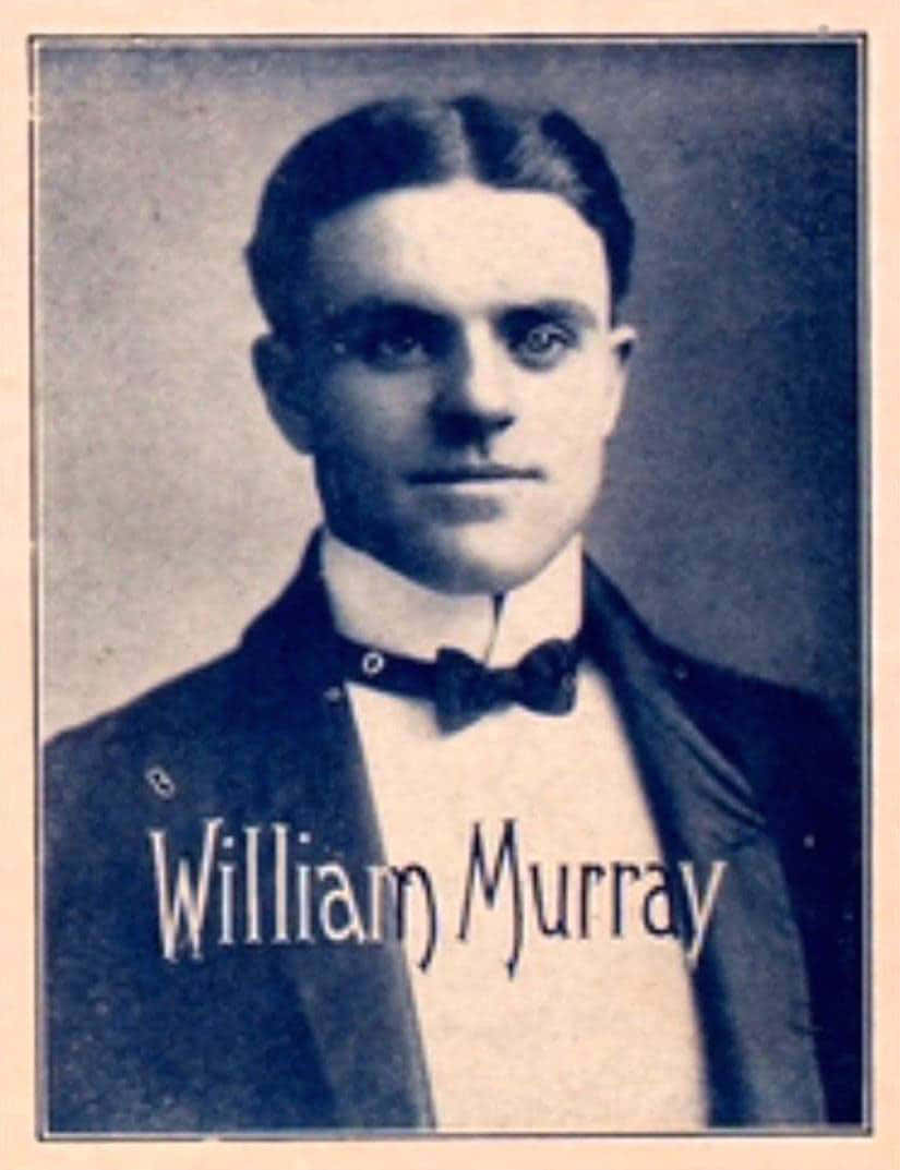 William Billy Murray Portrait Wallpaper
