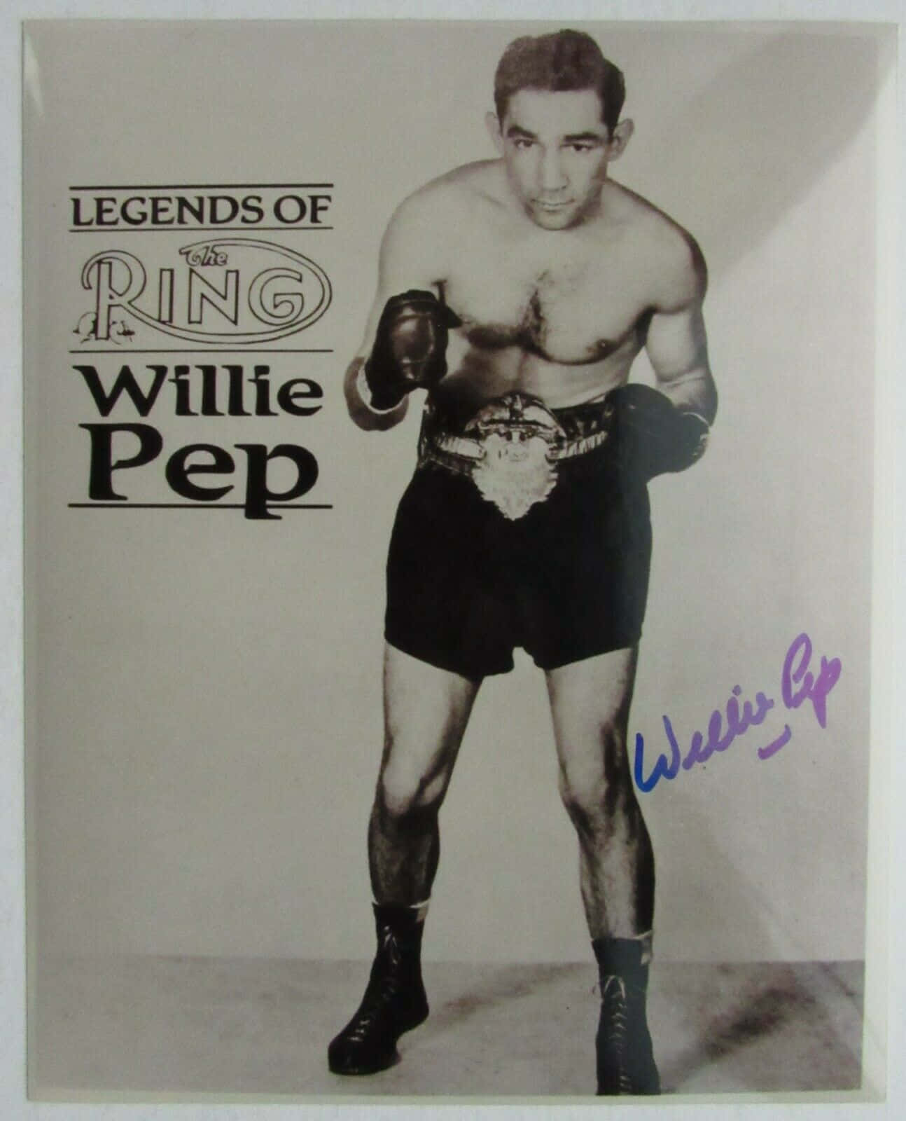 Willie Pep's Signature Wallpaper