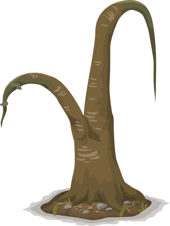 Wilted Tree Graphic PNG