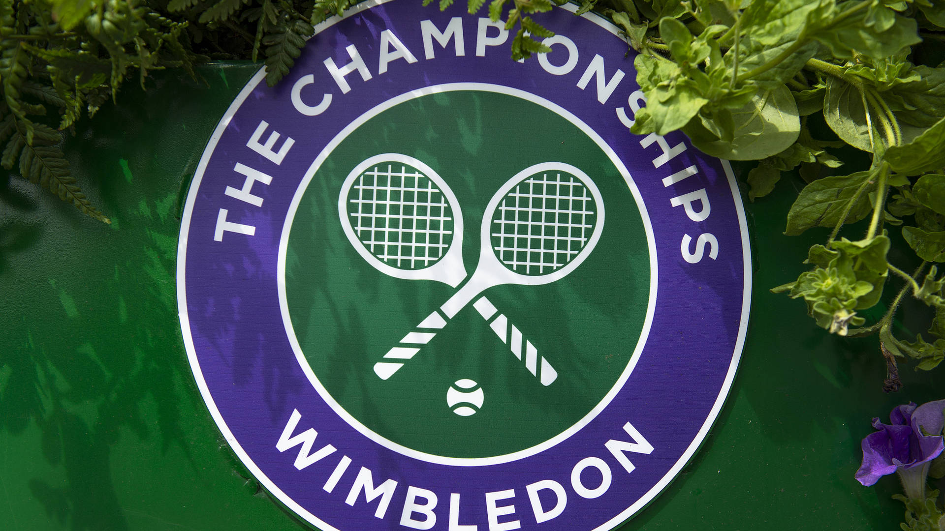 Wimbledon-logo Med Hvid Tennisketsjer Wallpaper
