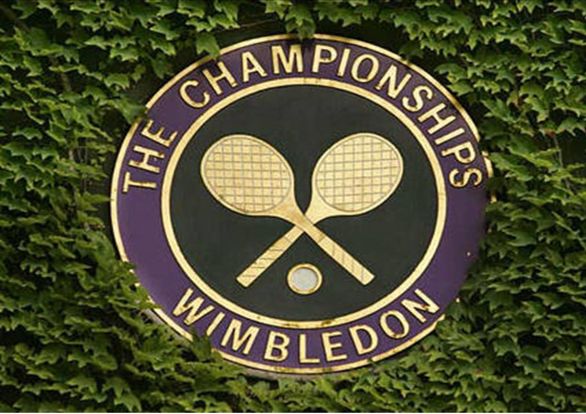 Wimbledonplakett Med Guldlogotyp. Wallpaper