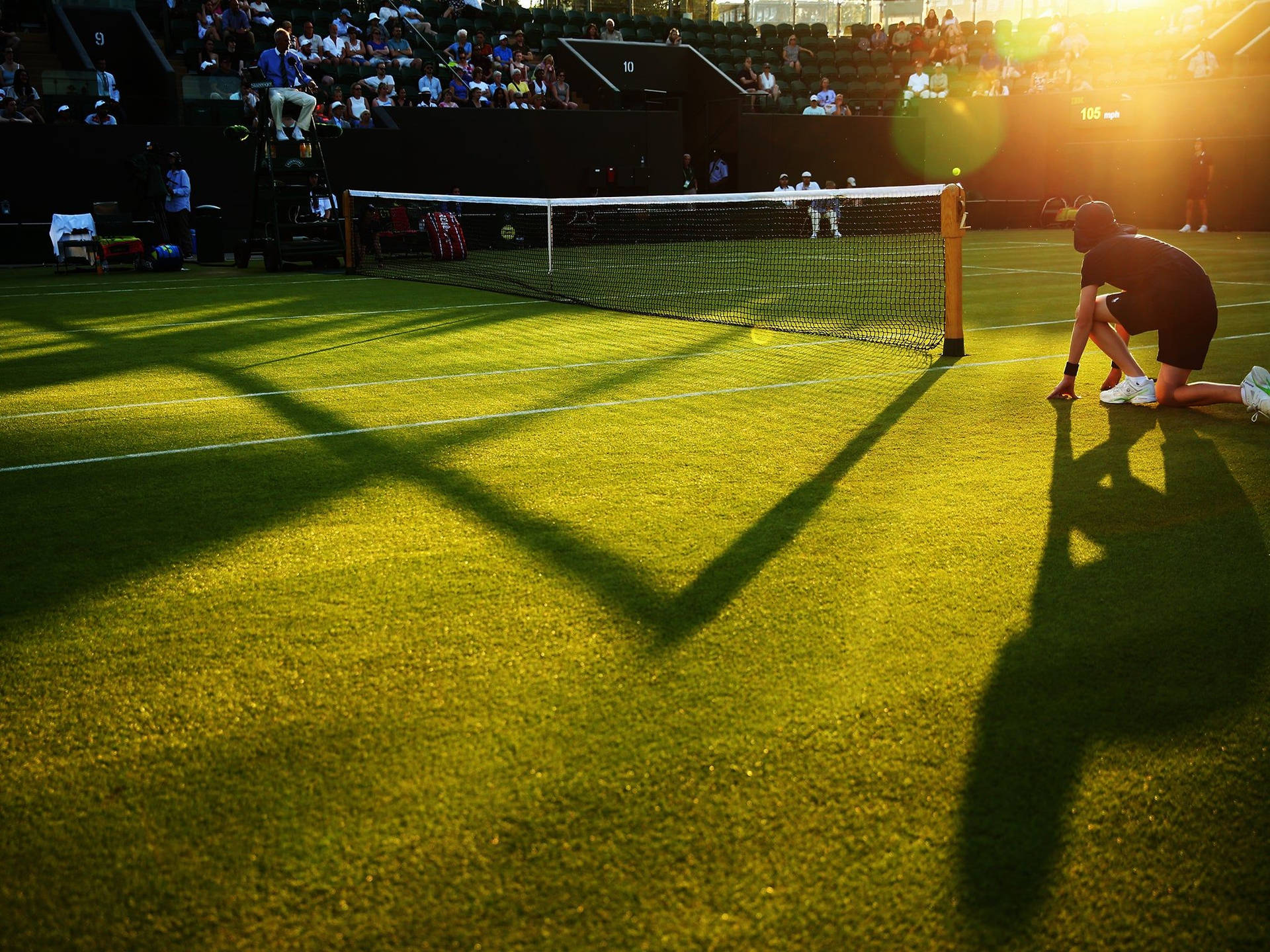 Golden Hour at Wimbledon Tennis Court Wallpaper