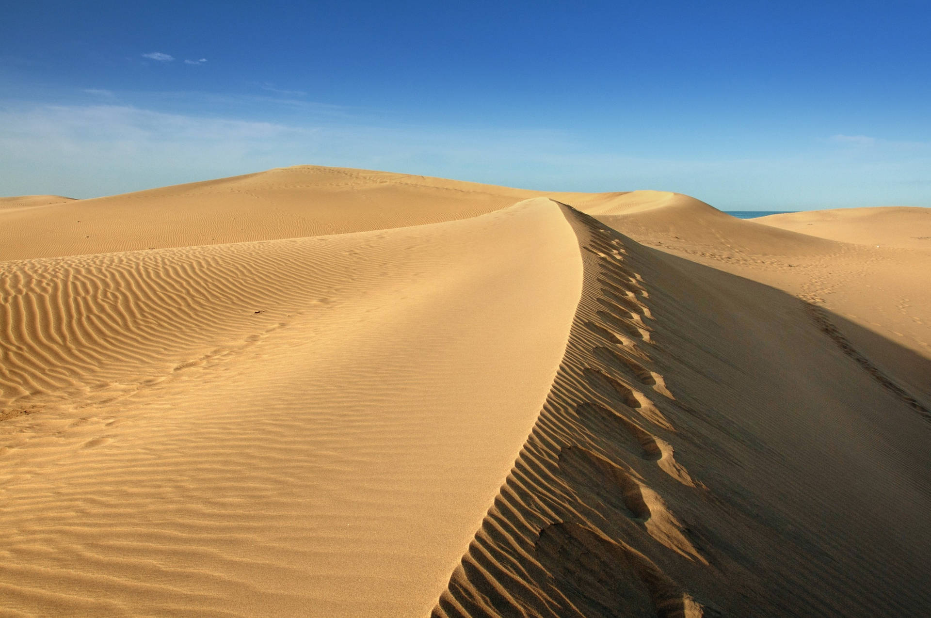 The Majestic Wind Tracks of the Desert Wallpaper