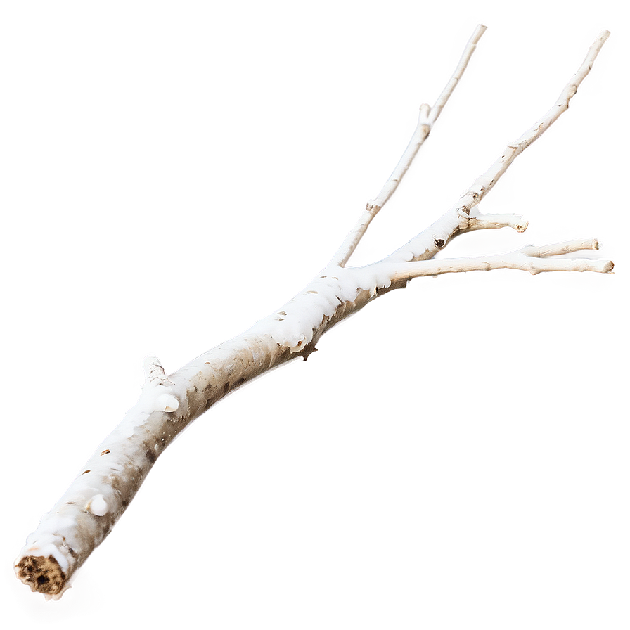 Windblown Twig Png 25 PNG