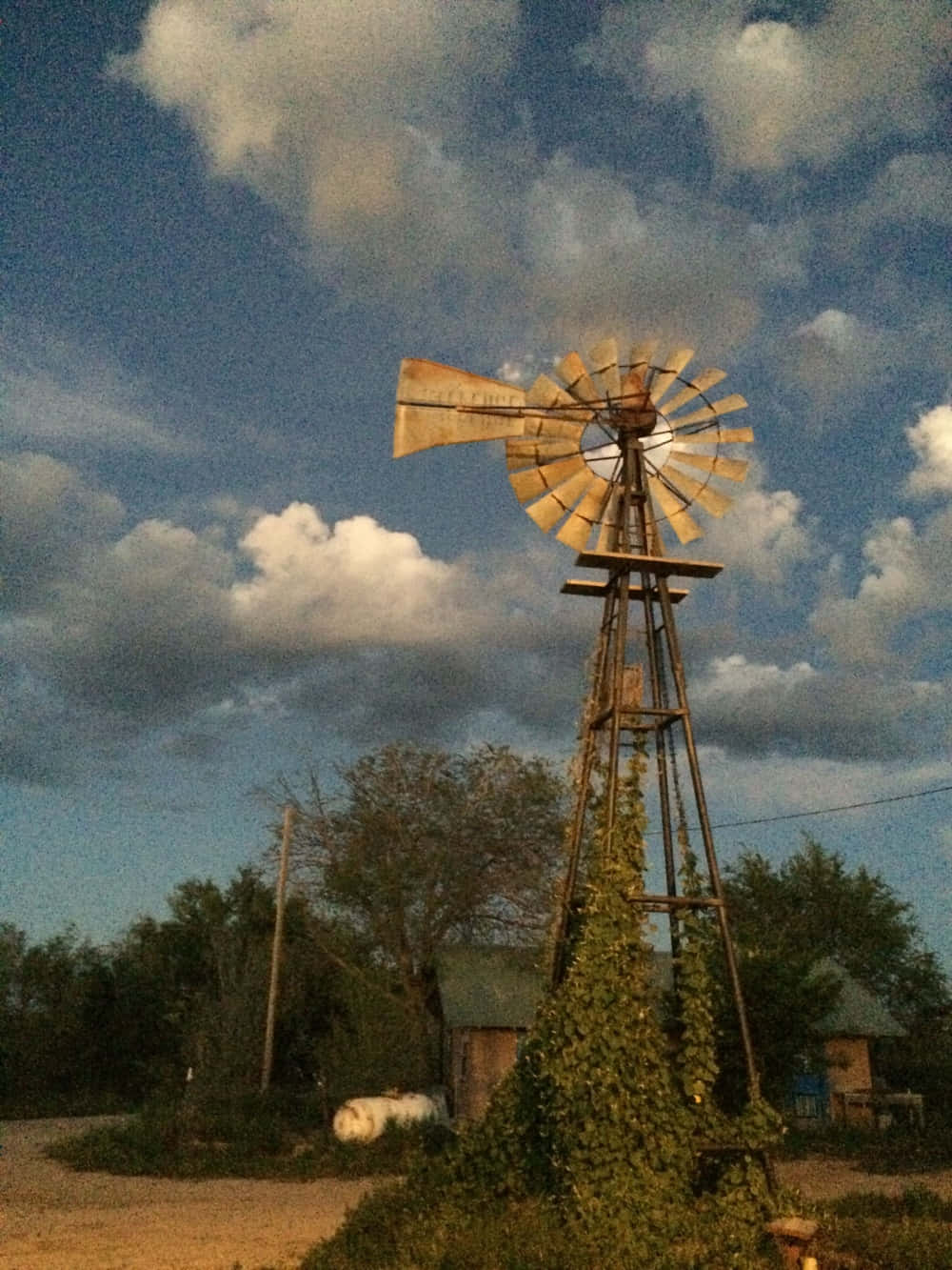 An old windmill stands tall and strong in a field of golden wildflowers