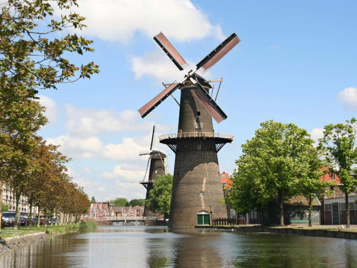 A Canal With Windmills On It