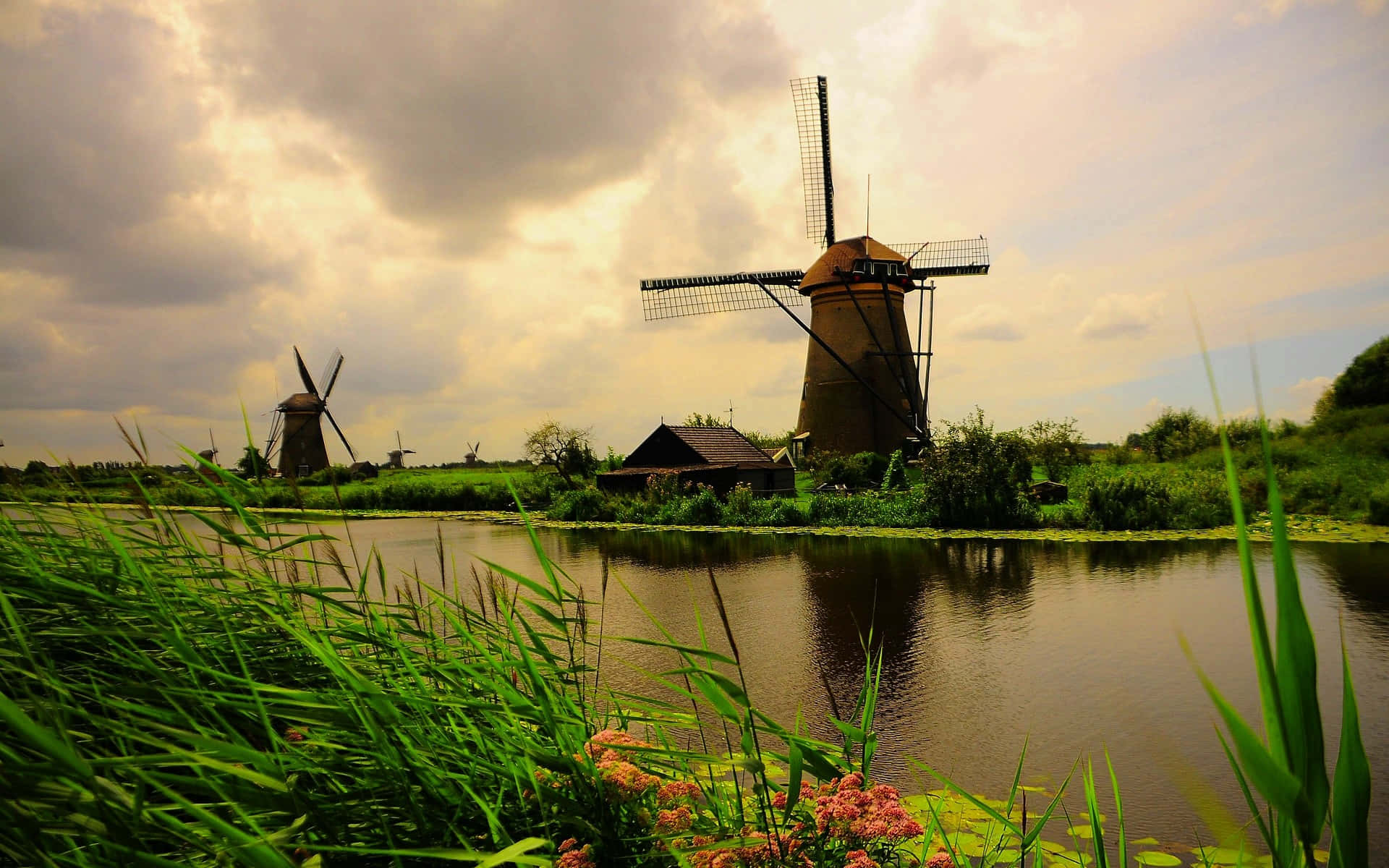 A Serenity of Windmills in the Dutch Countryside
