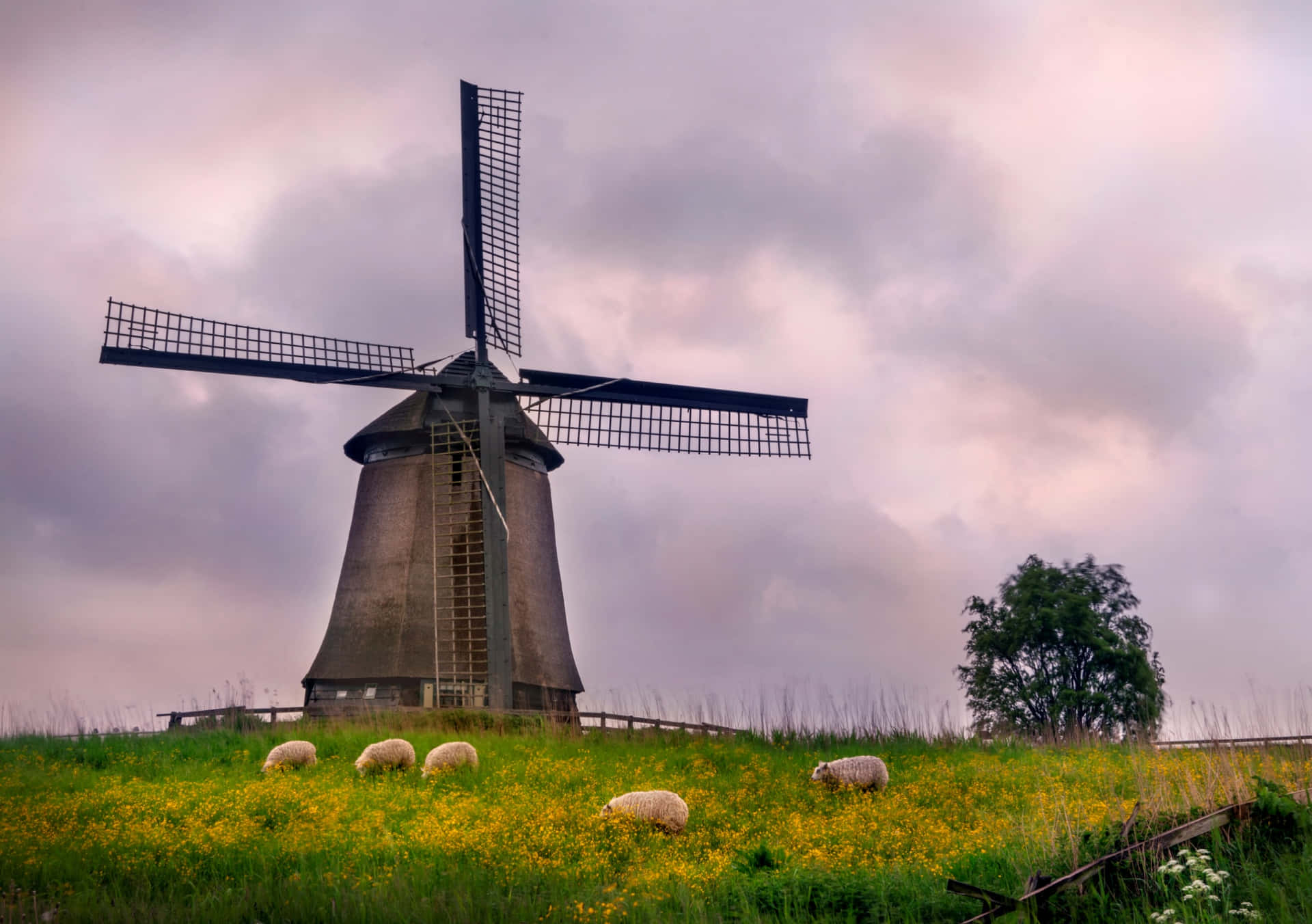 A Windmill With Sheep Grazing In The Field
