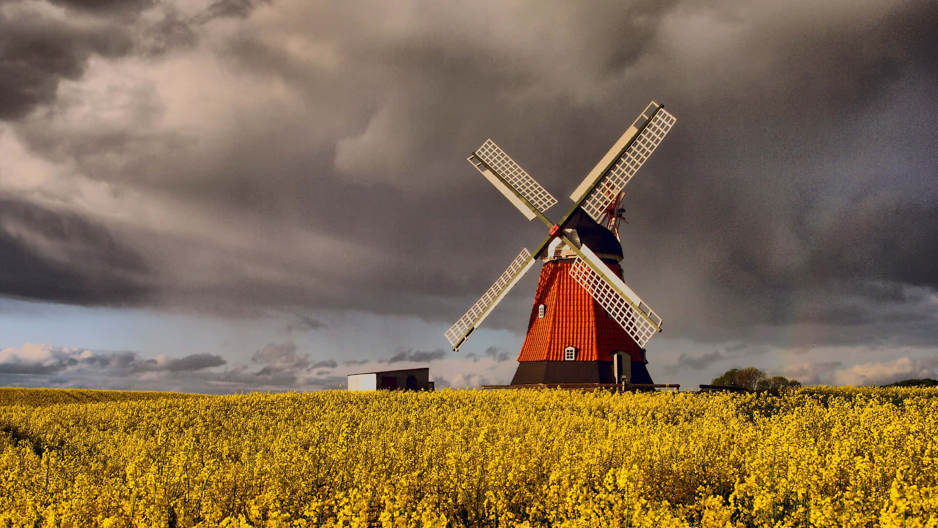 A Windmill In A Field
