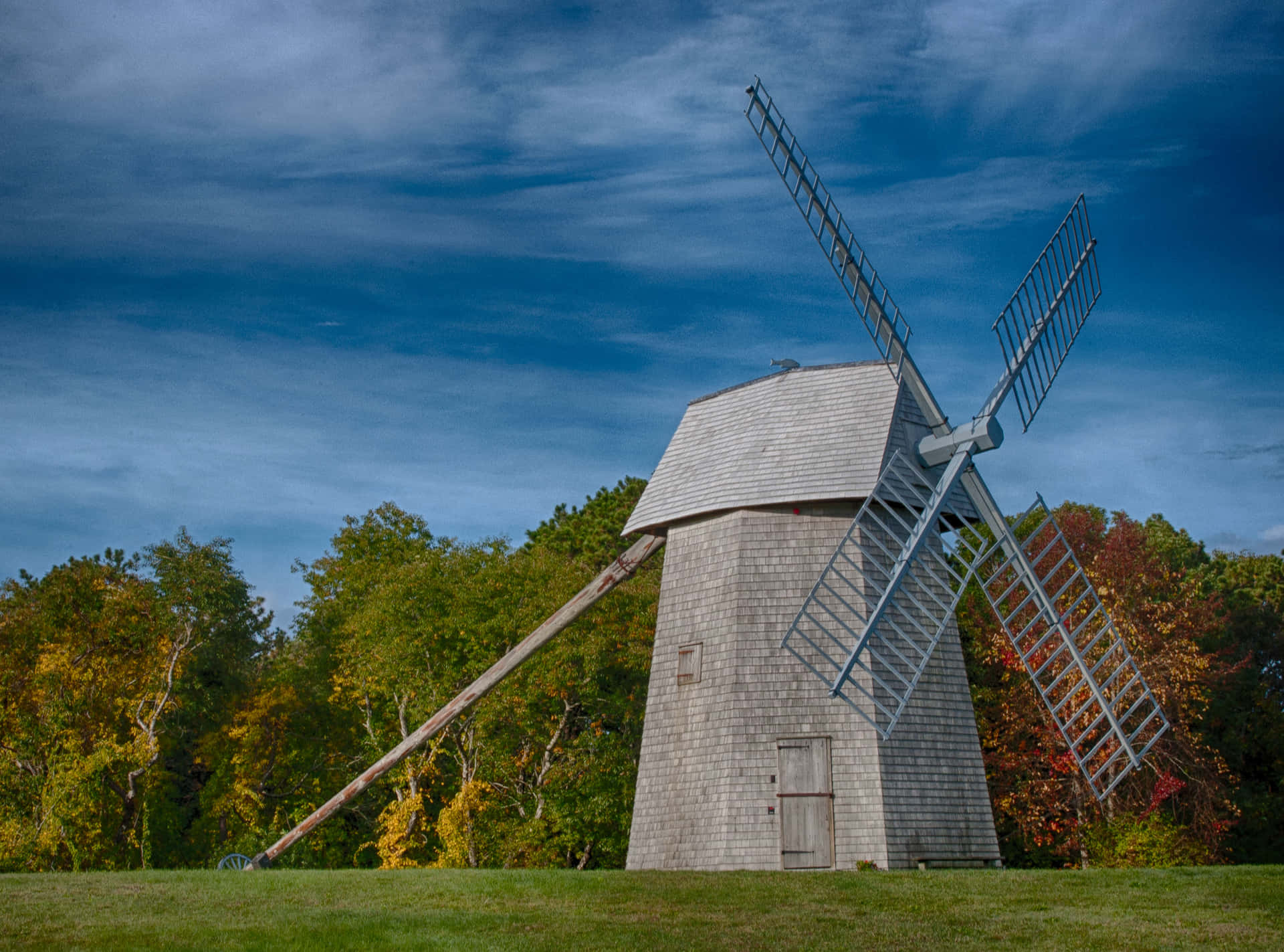 An Ornamental Windmill in a Field of Flowers