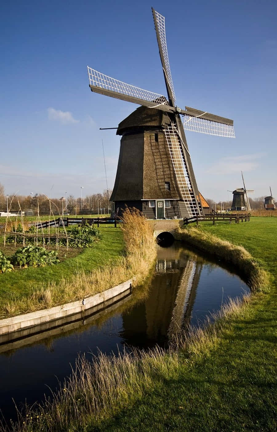 Windmill Pictures 900 X 1400