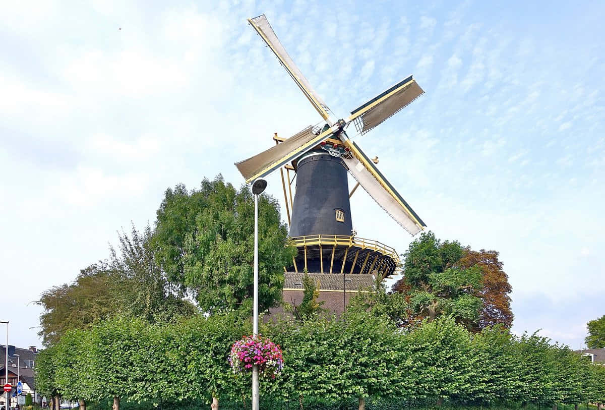 Windmillin Woerden Netherlands Wallpaper