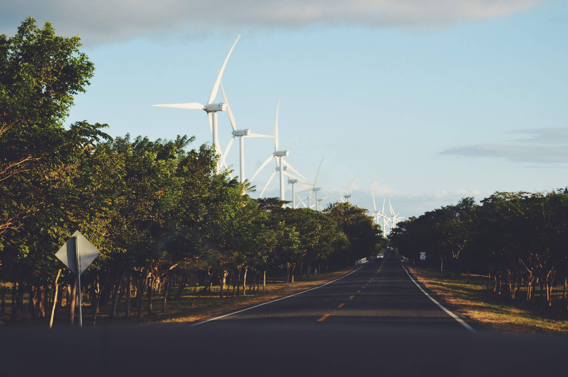 Windmills And Trees In Nicaragua Wallpaper