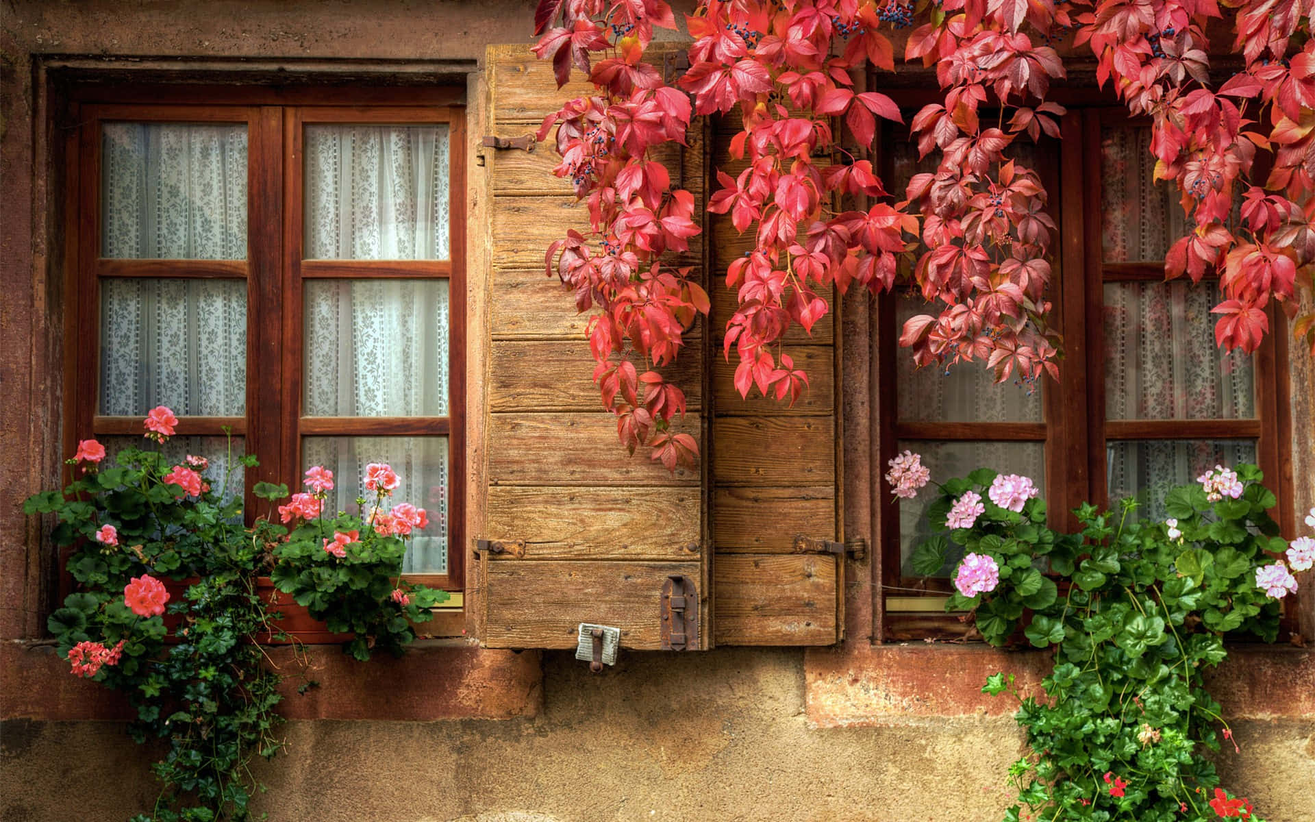 Window Autumn Season Wallpaper
