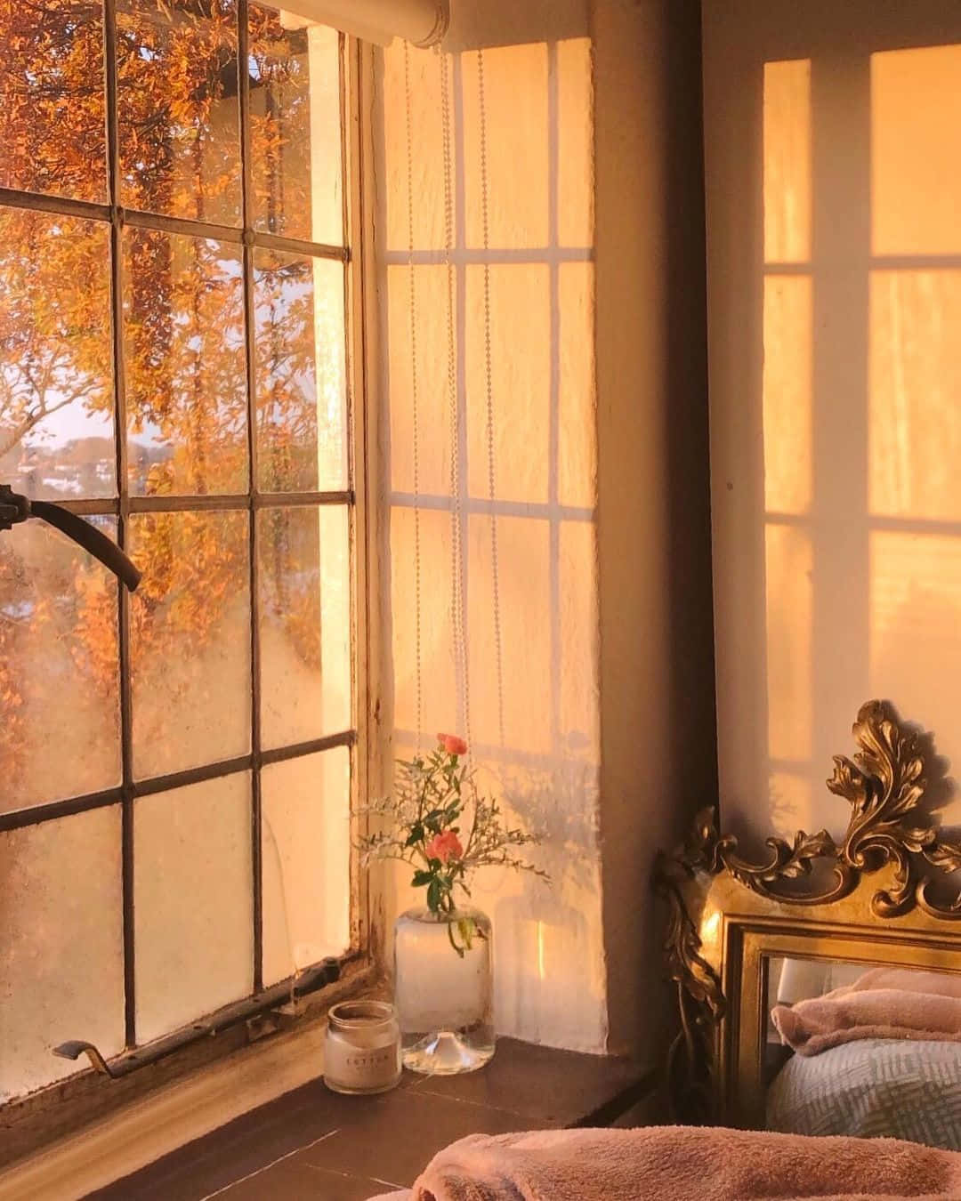 Window Morning Sunlight Wallpaper