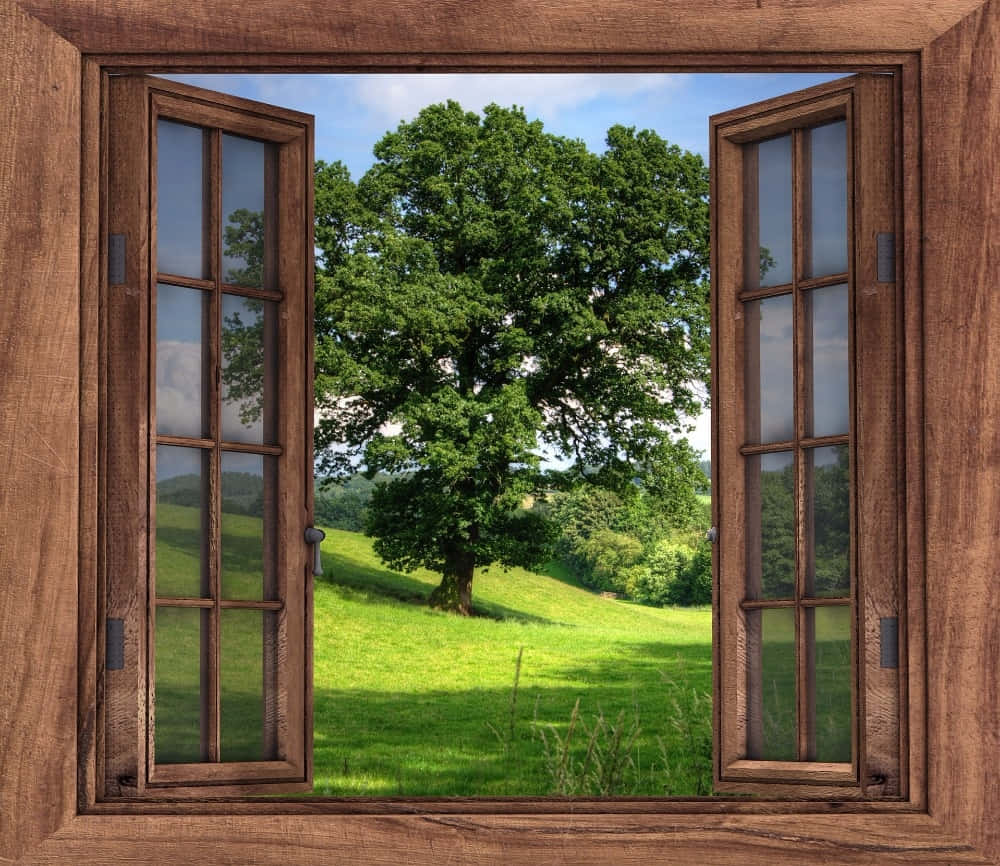 Wooden Grid Window Picture