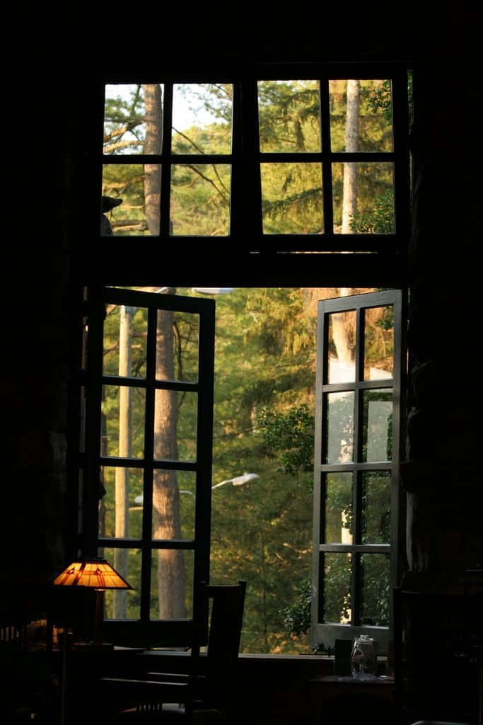 Stunning View Through the Antique Window