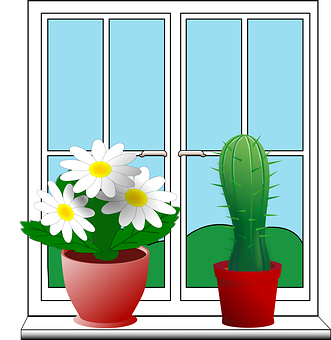 Window Plants Illustration PNG