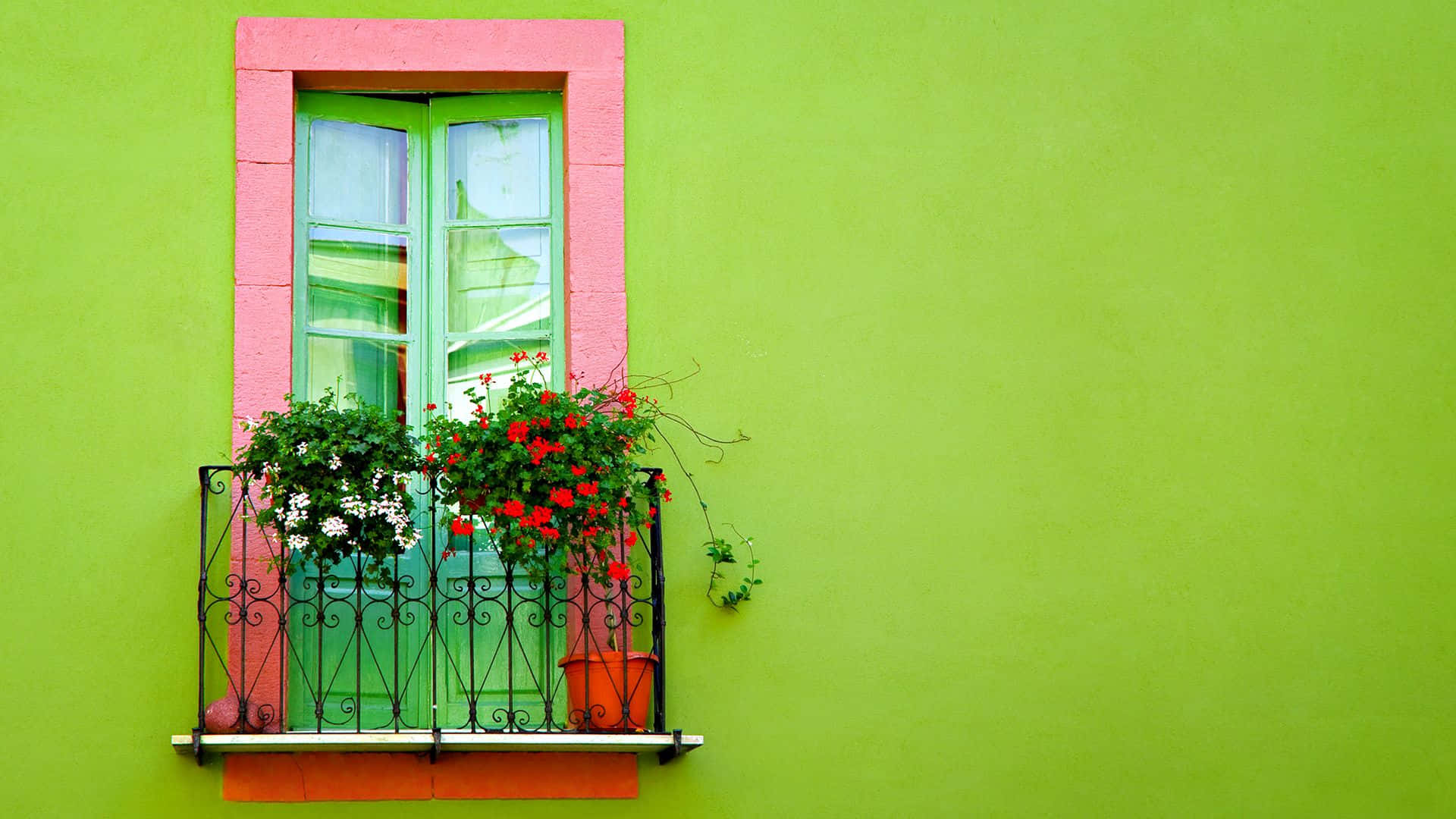 Fenstergelb Grün Wallpaper