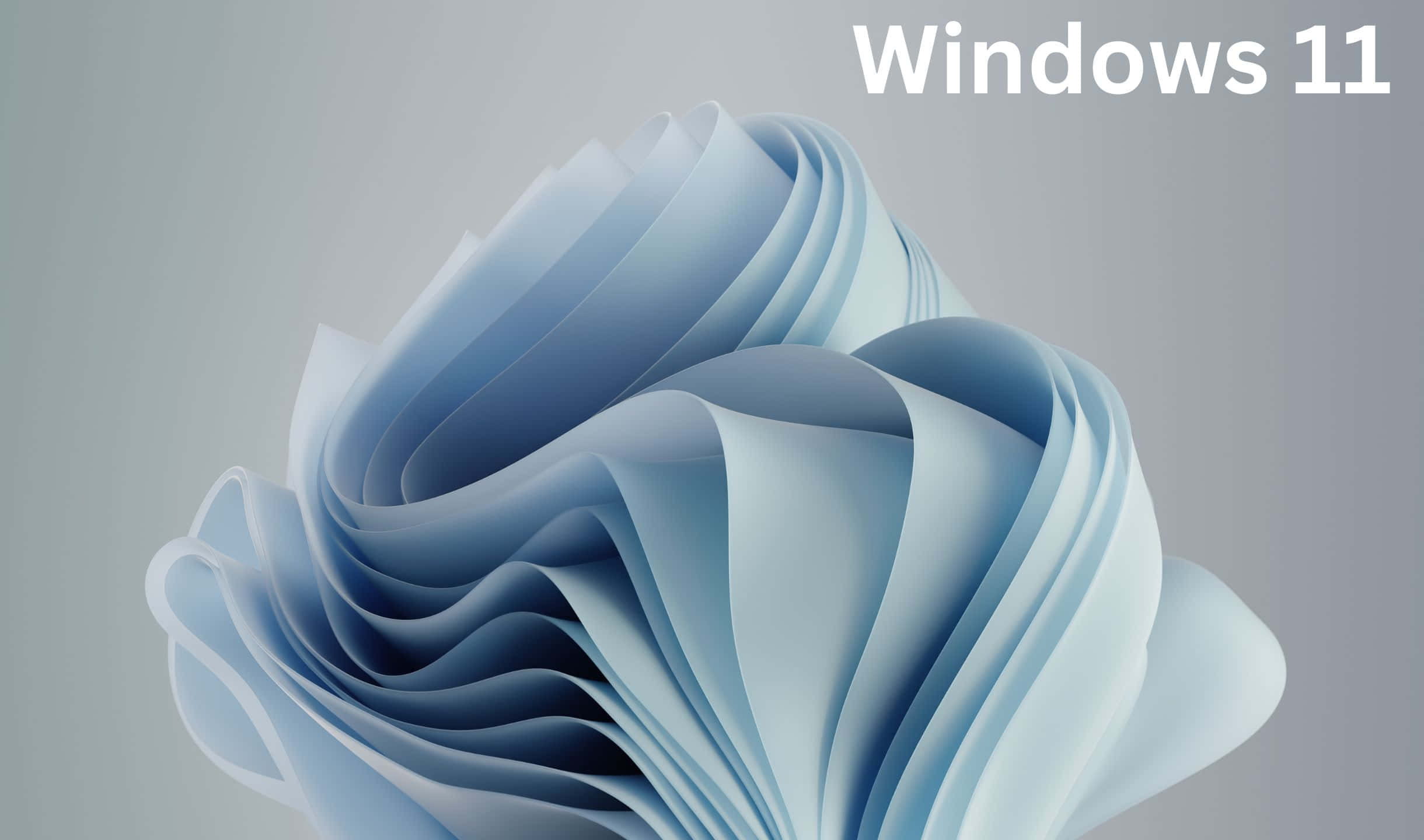 Windows 10 - Microsoft Windows 10 - Microsoft Windows 10 - Microsoft Windows 10 - Microsoft Windows 10 - Microsoft Windows 10