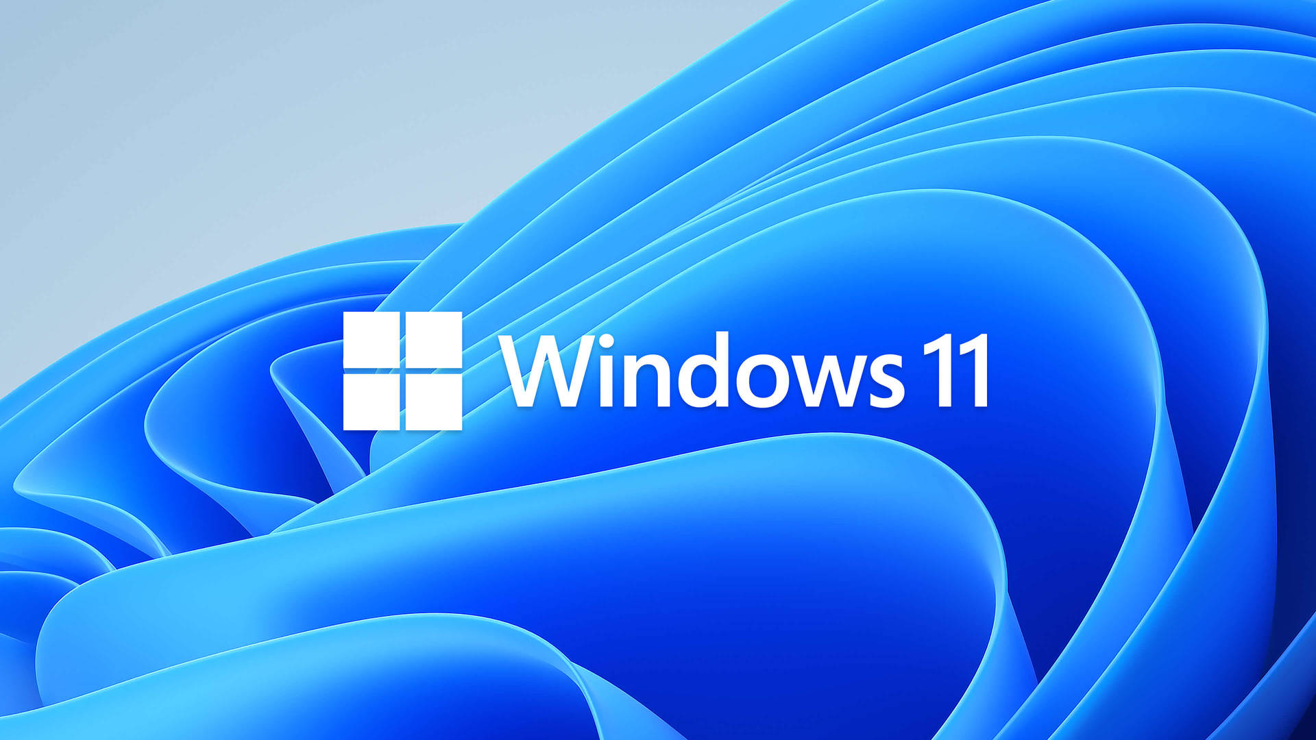 Windows 11 Blå Blomstermønster Wallpaper