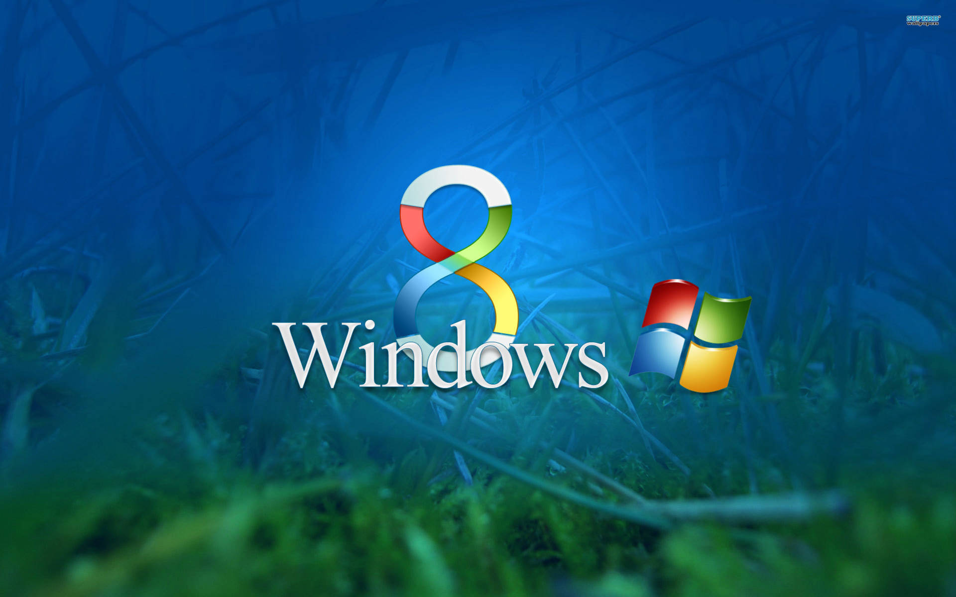 Windows 8 Grassy And Blue Background Wallpaper