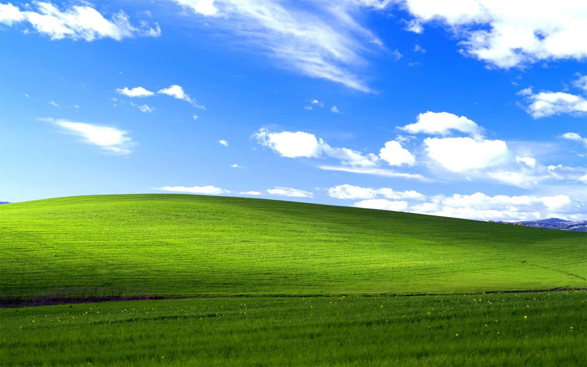 A Green Field With A Hill