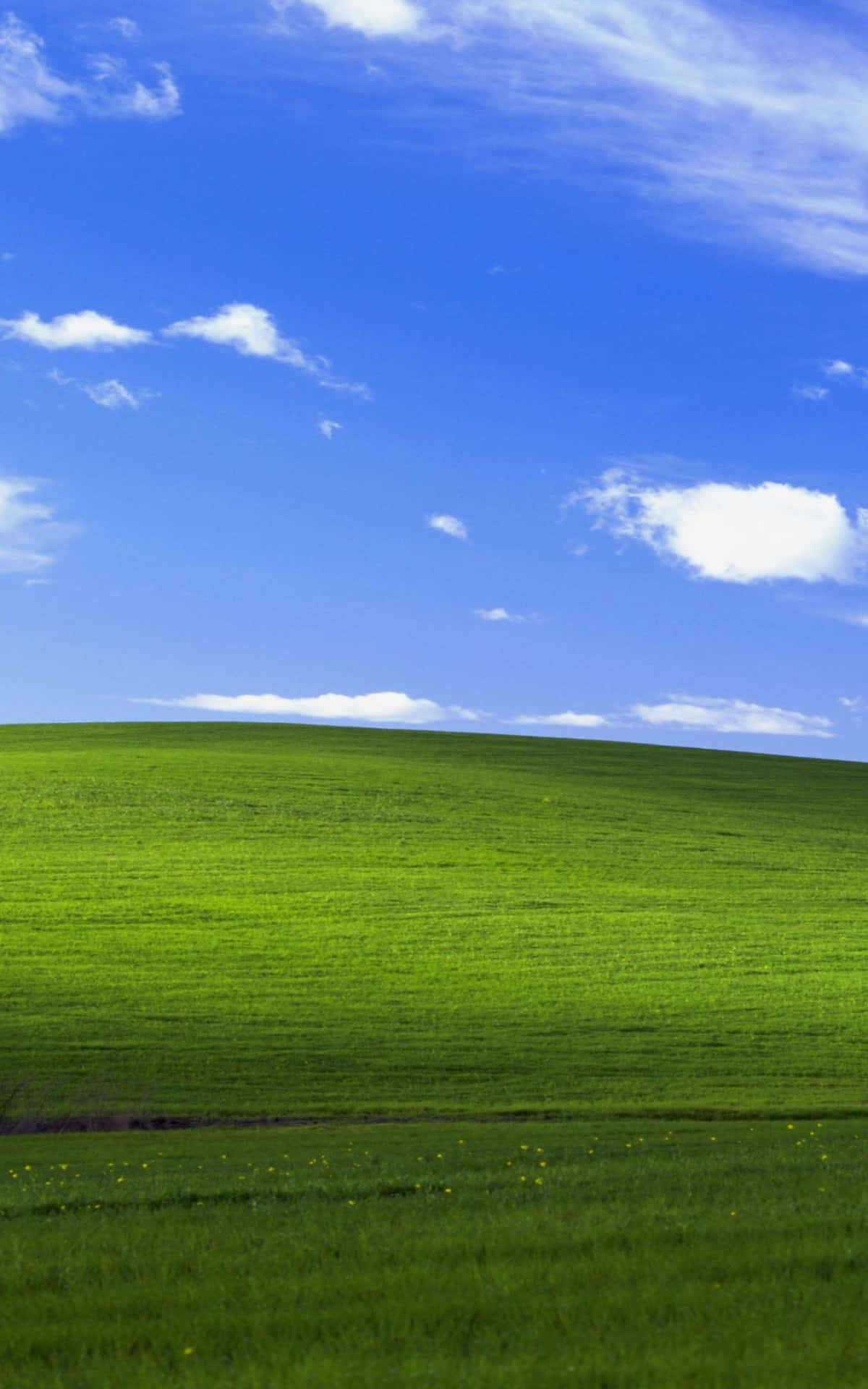 Enjoy The View Of The Glassy Windows Default Background