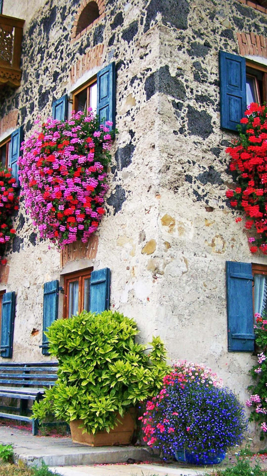 Windows Fresh Flowers Wallpaper