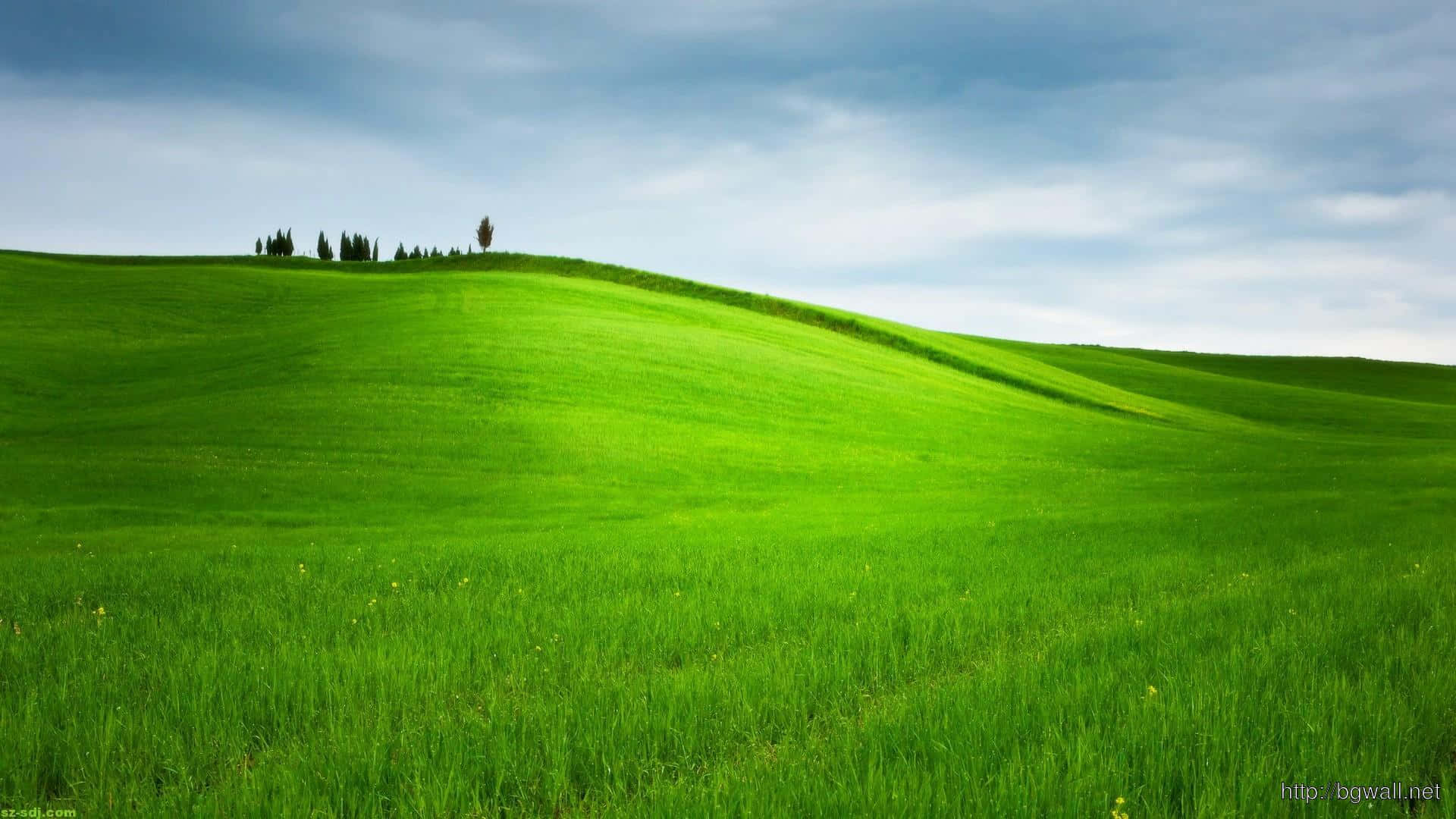 Windows Hill – Landscape Of Rolling Hills With Windows