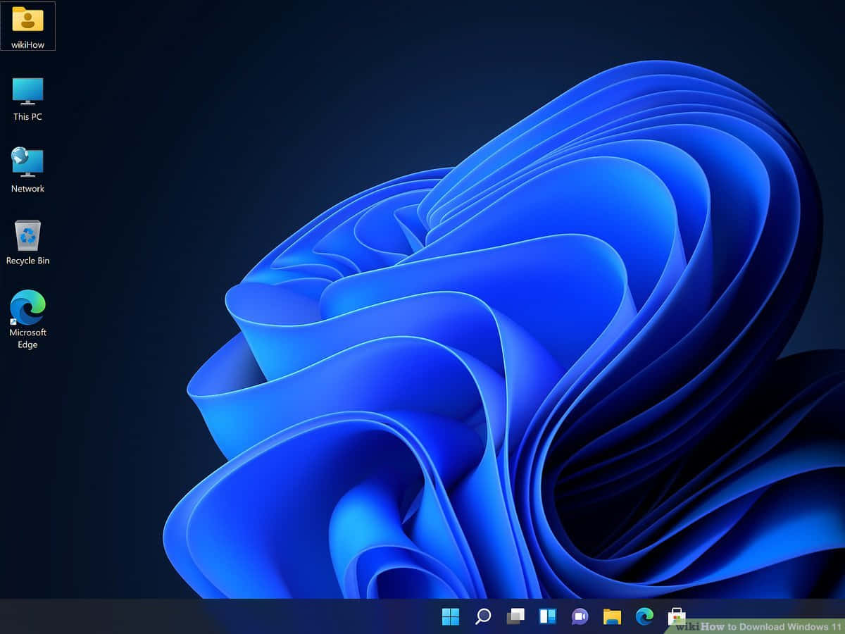 En blå skærm med et blåt blomst mønster